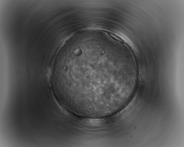 X0000094370849200711162109