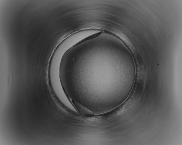 X0000094370850200711162109
