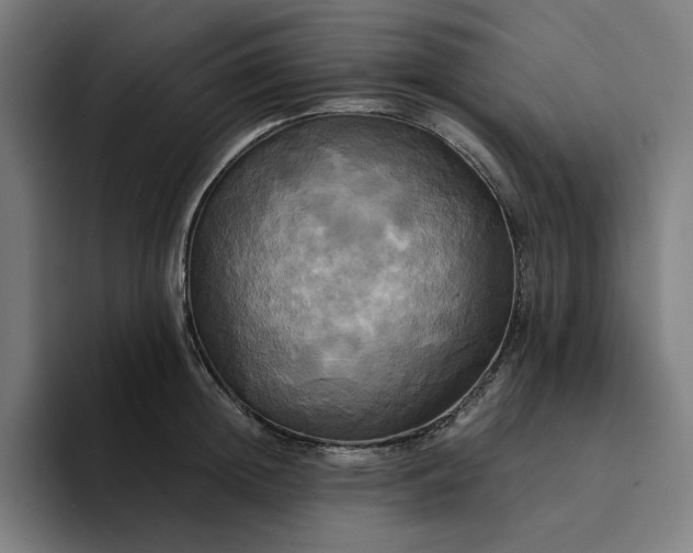 X0000094370852200711162109