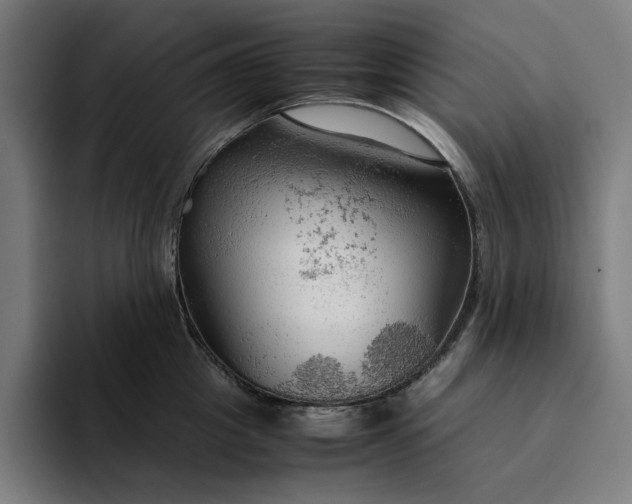 X0000094370857200711162109