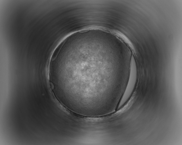 X0000094370860200711162109