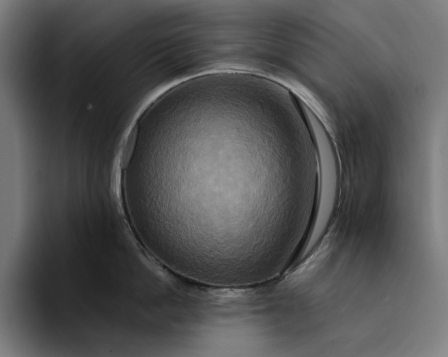 X0000094370862200711162109