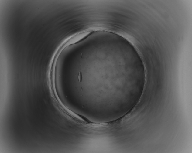 X0000094370864200711162109