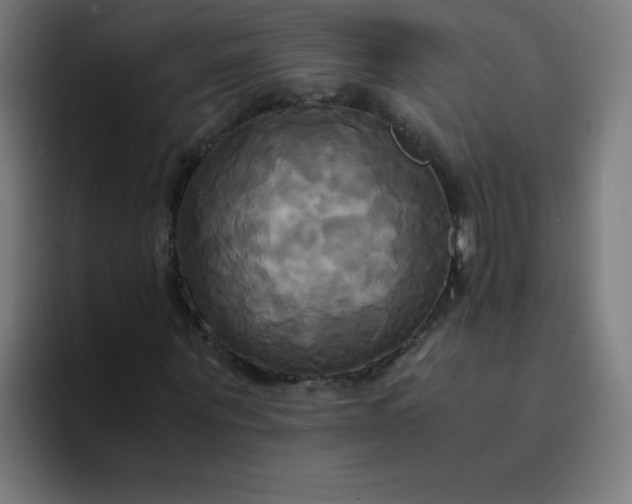 X0000094370867200711162108