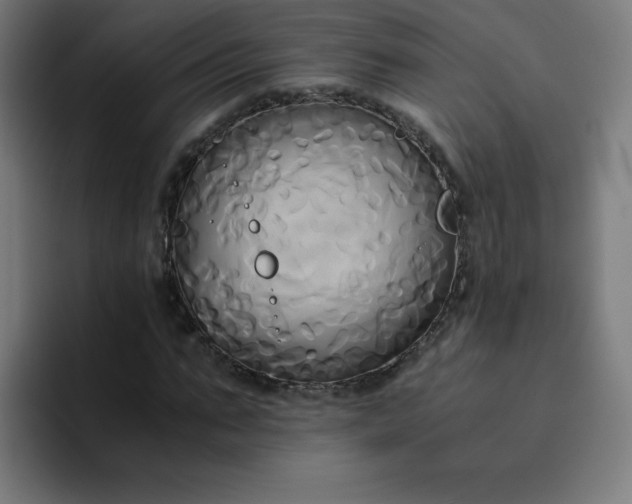 X0000094370871200711162108