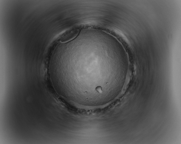 X0000094370872200711162108