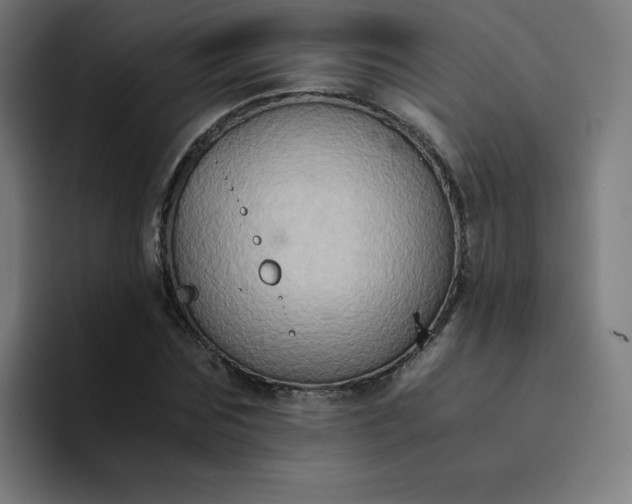 X0000094370875200711162108
