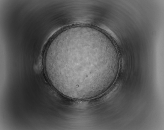 X0000094370878200711162108
