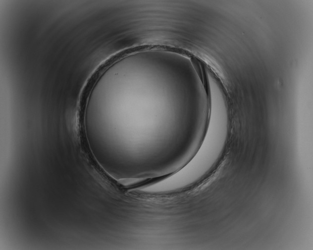 X0000094370880200711162108