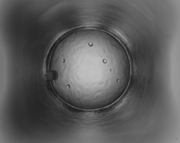 X0000094370883200711162108