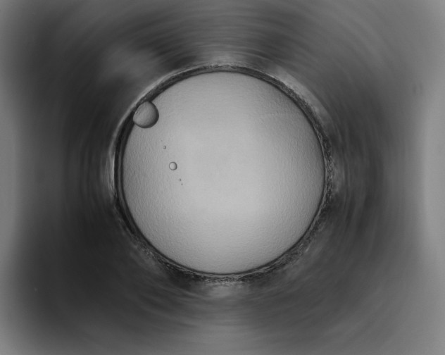 X0000094370886200711162108
