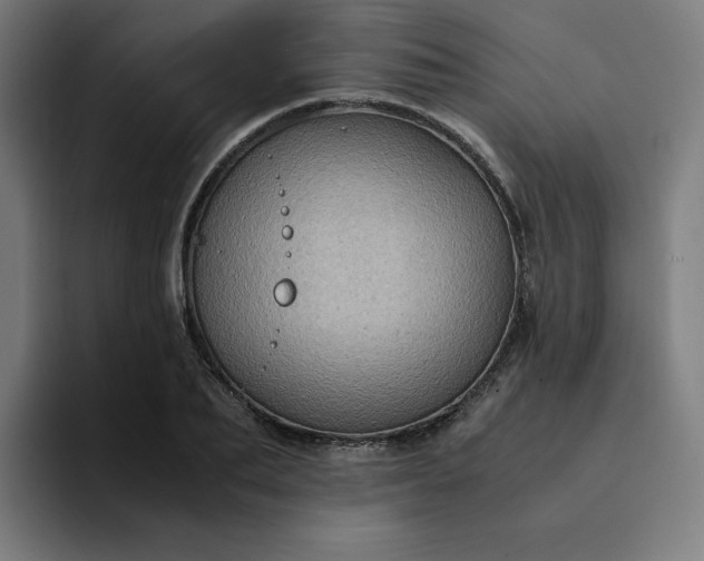 X0000094370887200711162108