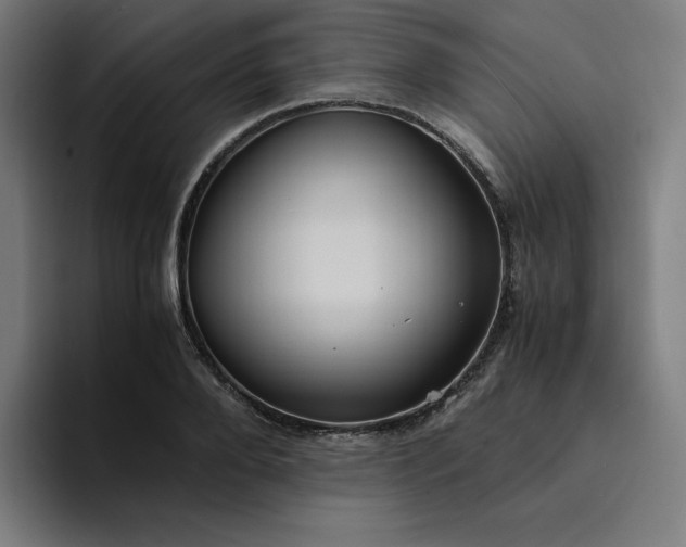 X0000094370888200711162108