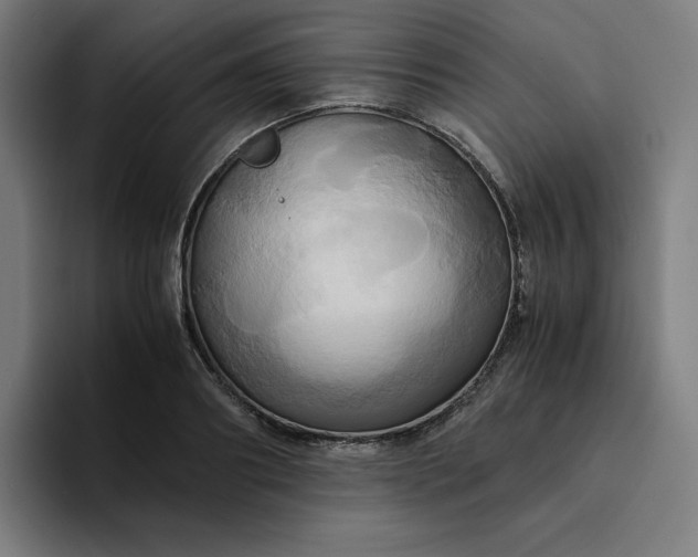 X0000094370890200711162108