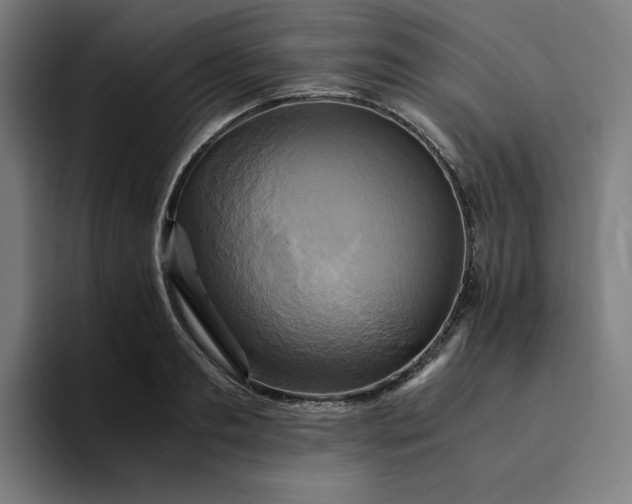 X0000094370893200711162108