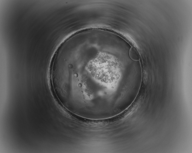 X0000094370895200711162108