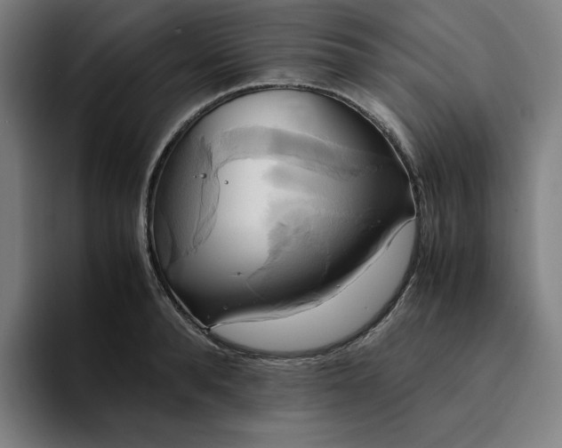 X0000094370896200711162108