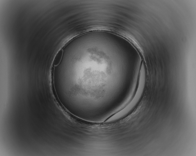 X0000094370898200711162108