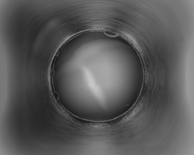 X0000094370899200711162108
