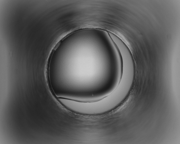 X0000094370901200711162108