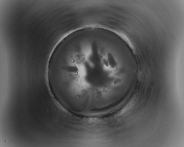 X0000094370903200711162108