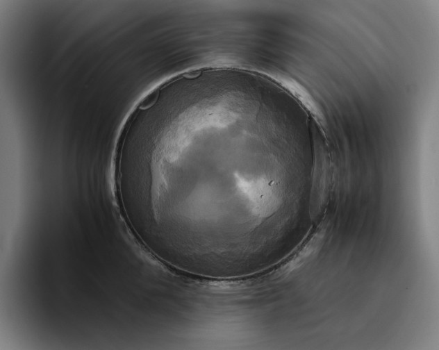 X0000094370904200711162108