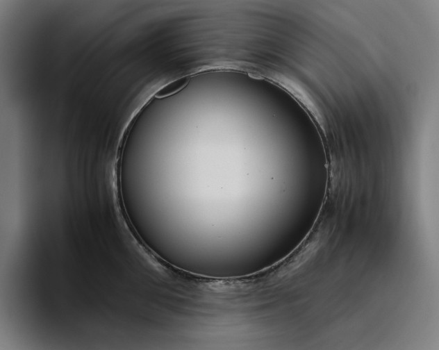 X0000094370906200711162108
