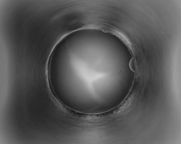 X0000094370907200711162108