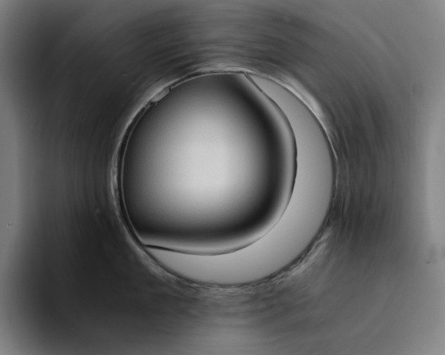 X0000094370909200711162108