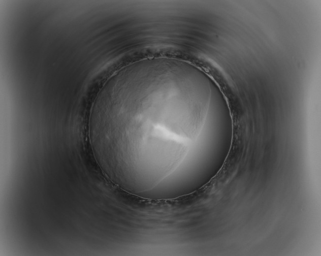 X0000094370919200711162107