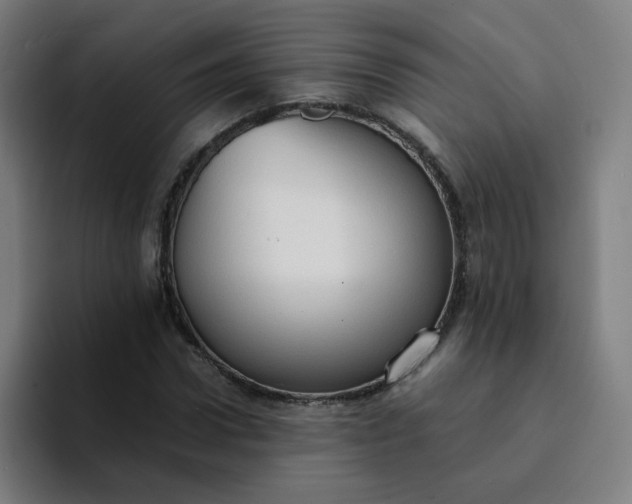 X0000094370922200711162107