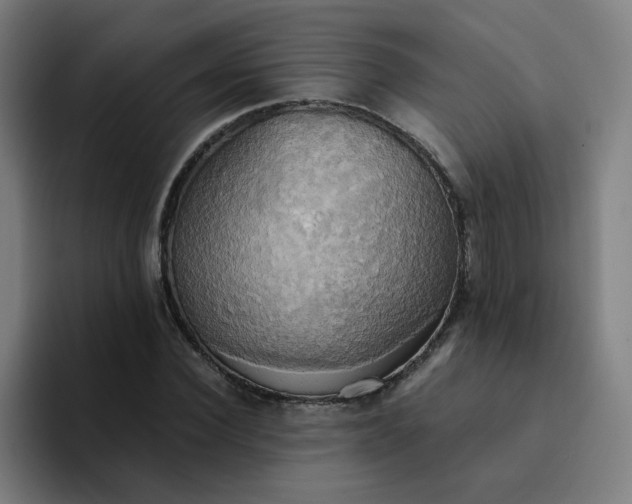 X0000094370924200711162107
