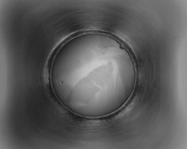 X0000094370925200711162107