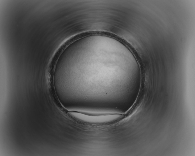 X0000094370926200711162107