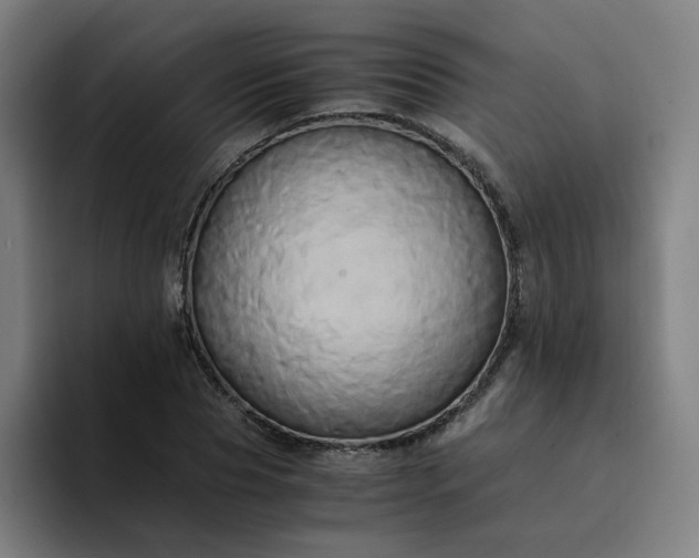 X0000094370929200711162107