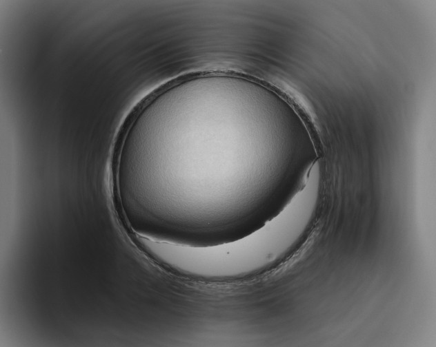 X0000094370936200711162108