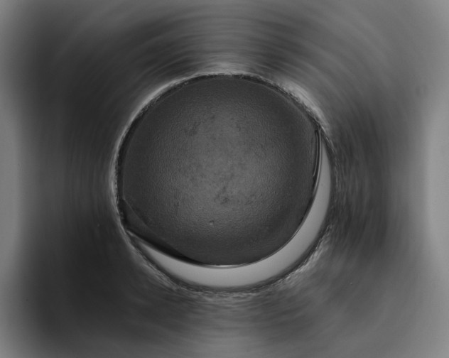 X0000094370942200711162108