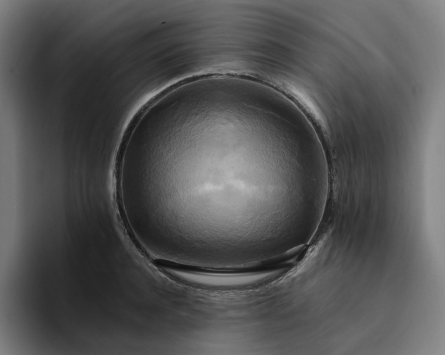 X0000094370944200711162108