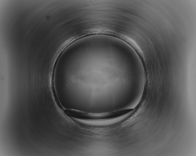 X0000094370946200711162108