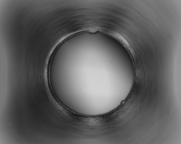 X0000094370947200711162108