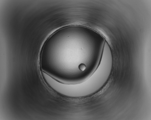 X0000094370948200711162108