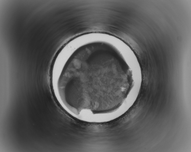 X0000094370950200711162108