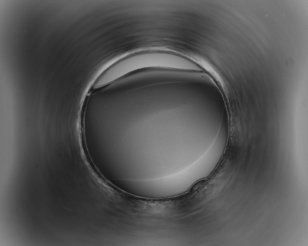 X0000094370951200711162108