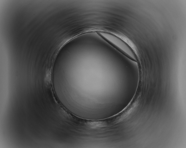 X0000094370953200711162108