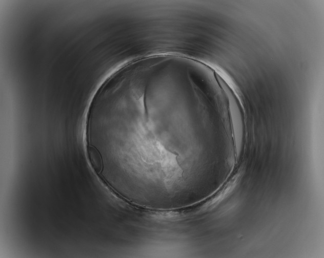 X0000094370957200711162108