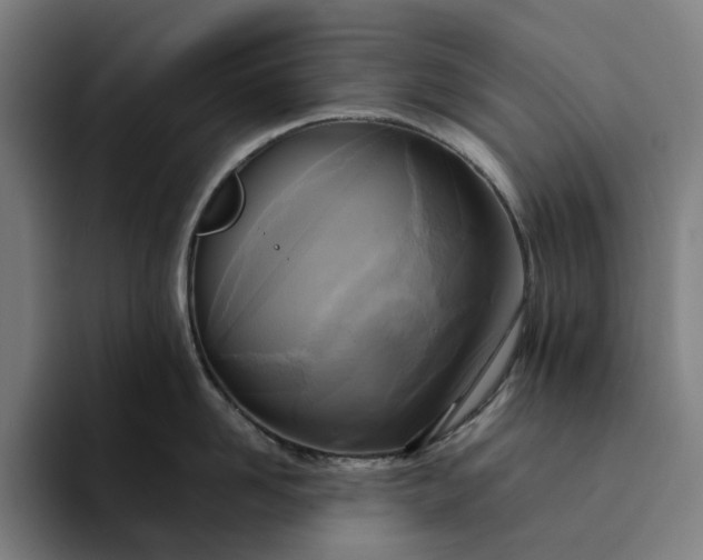 X0000094370958200711162108