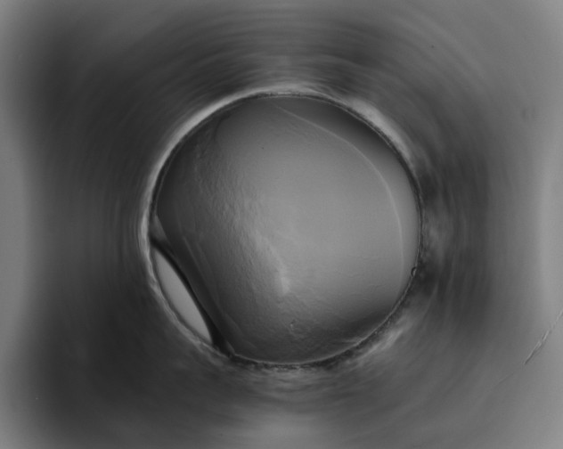 X0000094370959200711162108