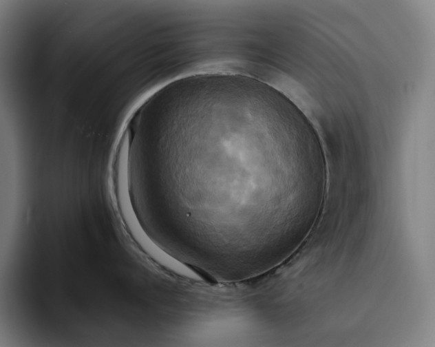 X0000094370960200711162108