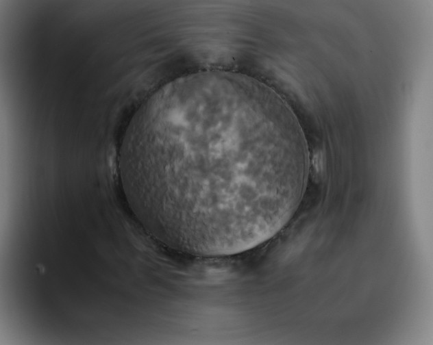 X0000094370963200711162107