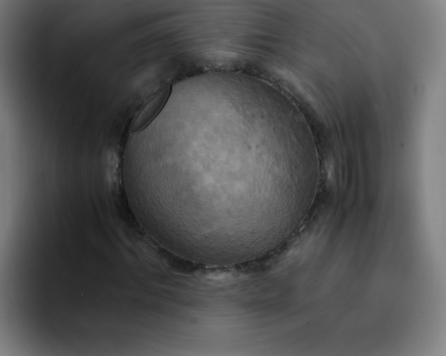 X0000094370964200711162107